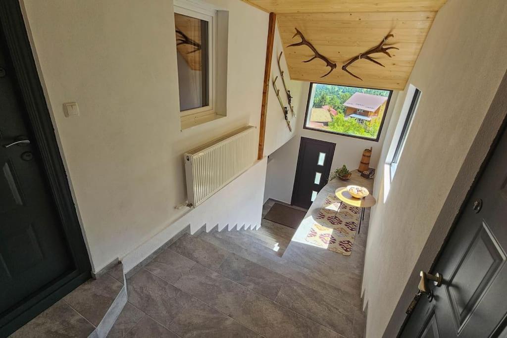 Chalet Dor De Munte Предял Экстерьер фото