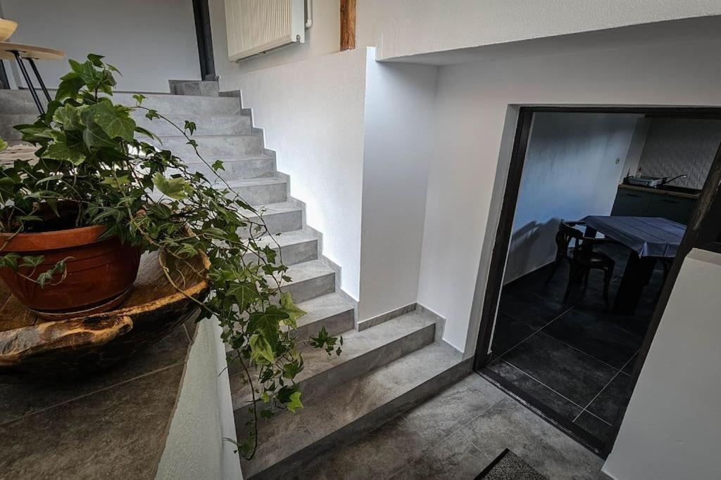 Chalet Dor De Munte Предял Экстерьер фото