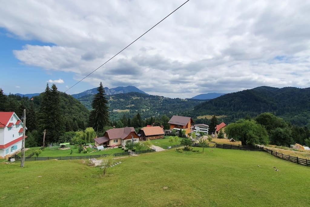 Chalet Dor De Munte Предял Экстерьер фото
