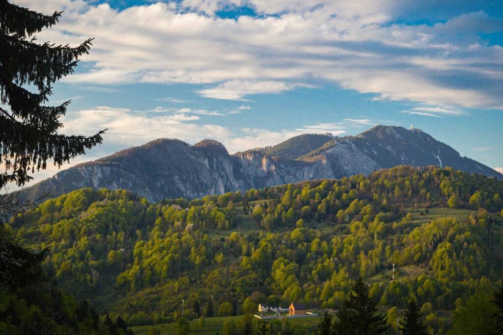 Chalet Dor De Munte Предял Экстерьер фото