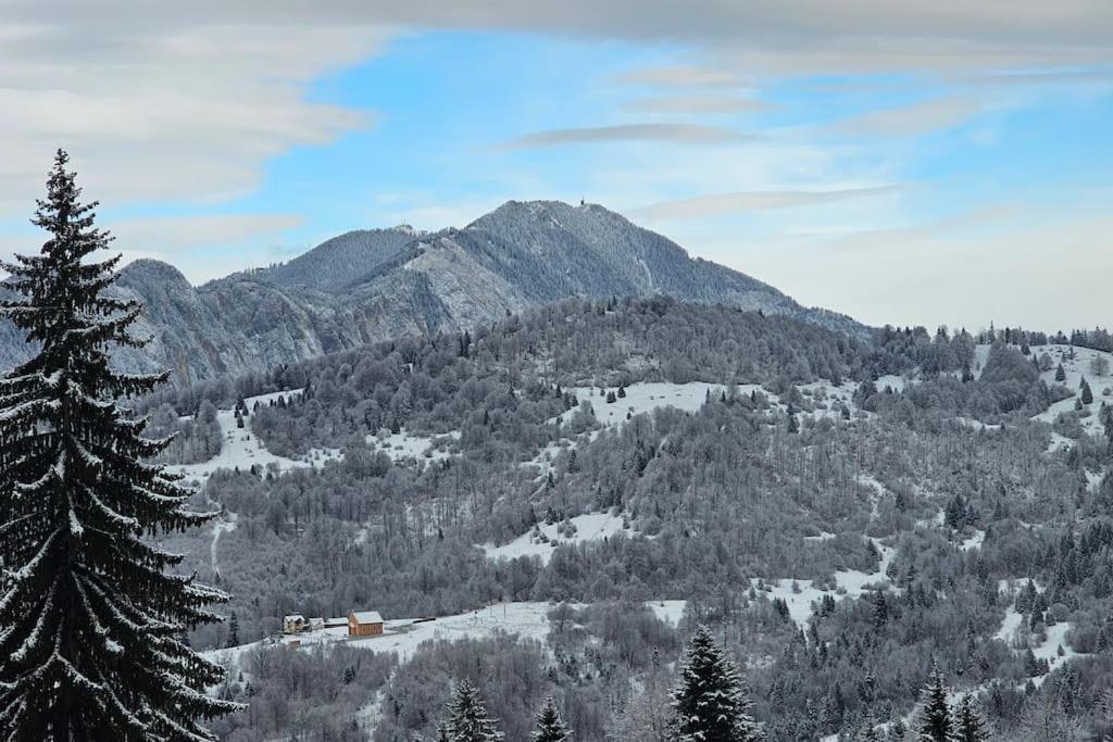 Chalet Dor De Munte Предял Экстерьер фото